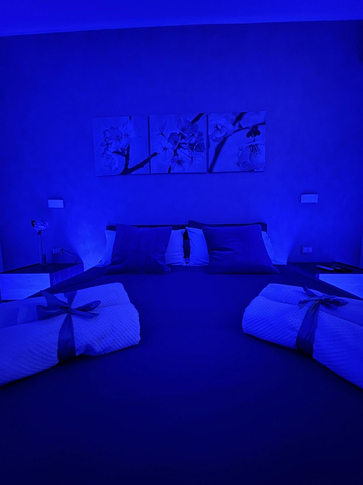 Blue House * CTA